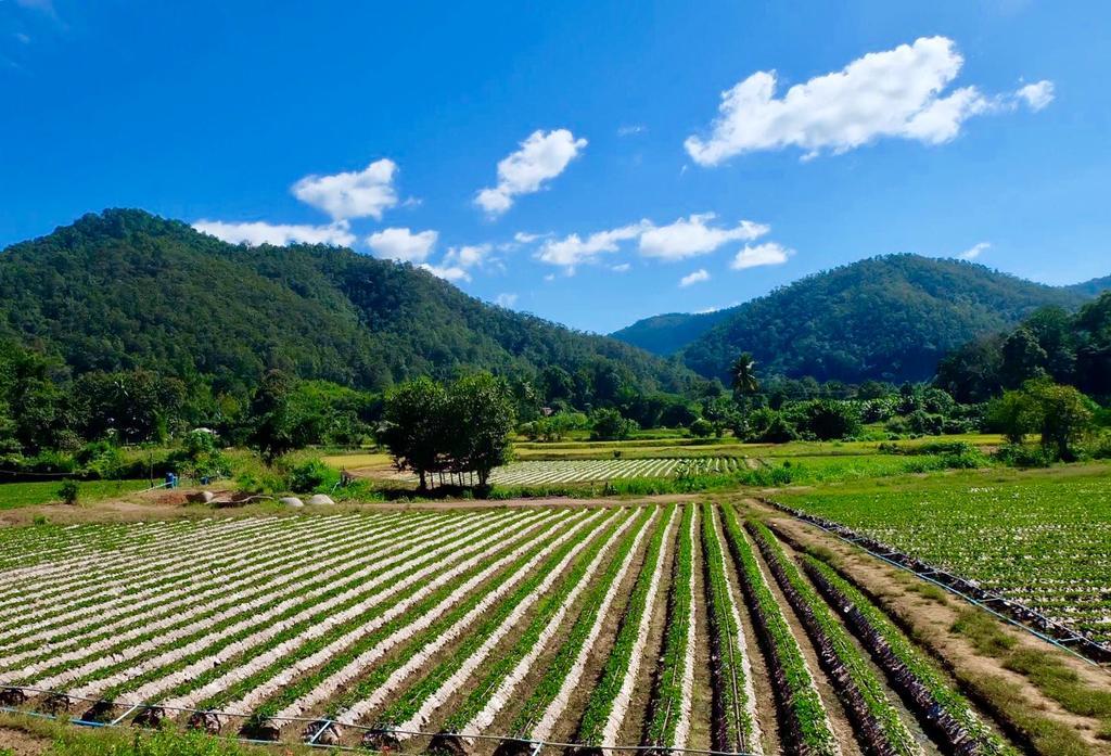 Wongwan Farm Villa Szamöng Kültér fotó